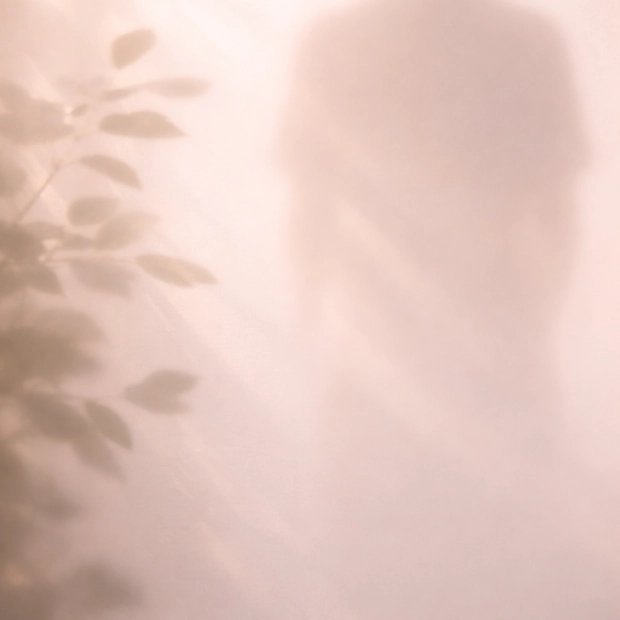 logopeda Coruña armonizacion vocal